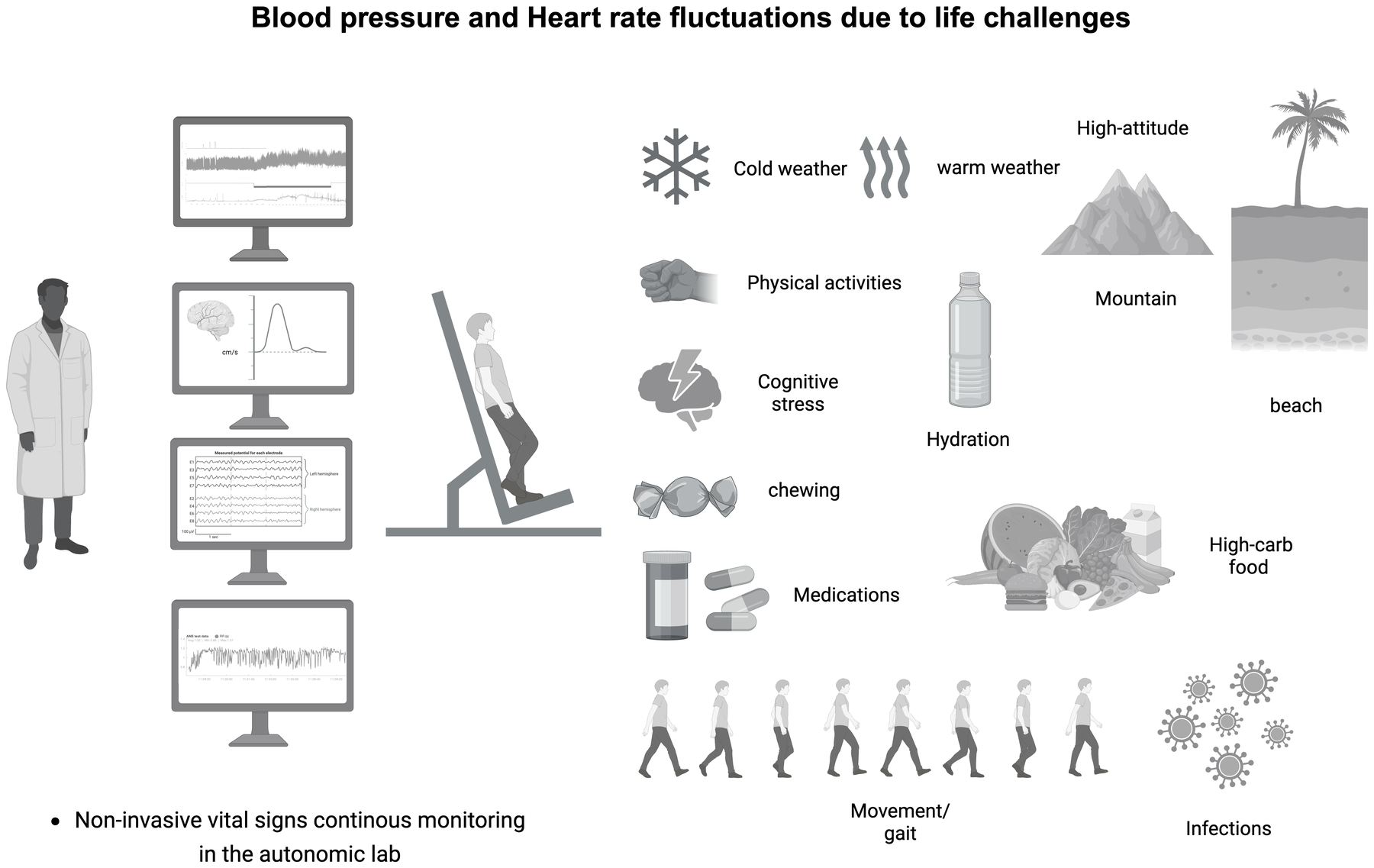 Factors that modify blood pressure and heart rate. That is why the laboratory monitors continuously and non-invasively during the challenges of daily life.